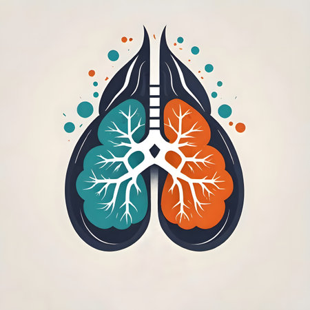Lungs anatomy. Vector illustration of human lungs and lungs.の素材
