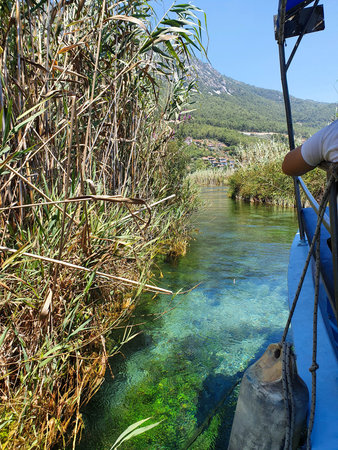 Boat on the river with reedsの写真素材
