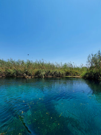 River landscape with blue water and green grass on the shore under the blue skyの写真素材