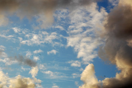 Fluffy sky
