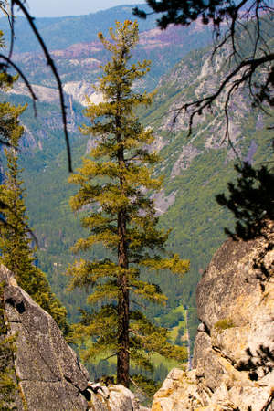 All you can see hiking your way to Taft Point in Yosemite Park, California, USAの写真素材