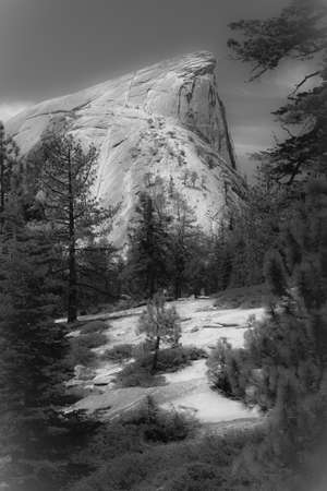 Views and things found on your way up to the top of Half Dome at Yosemite National Park in Californiaの写真素材