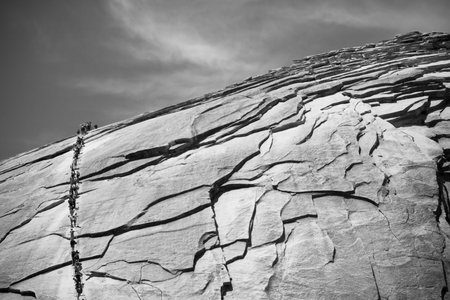 Views and things found on your way up to the top of Half Dome at Yosemite National Park in...