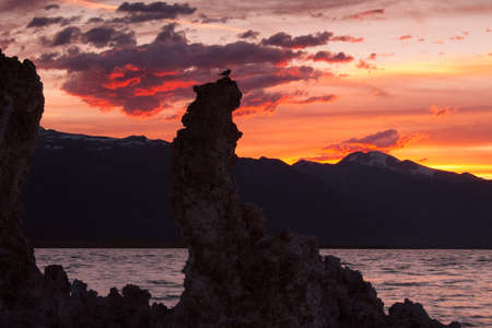 Image taken at Mono Lake, close to Tioga Pass just outside Yosemite, CA, USAの写真素材