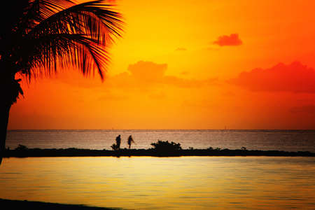 Sunset over the beach, Key West, Monroe County, Florida, USAの写真素材