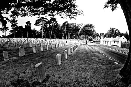 Tombstone in a cemetery, San Francisco National Cemetery, Presidio, San Francisco, California, USAの写真素材