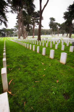 Tombstone in a cemetery, San Francisco National Cemetery, Presidio, San Francisco, California, USAの写真素材