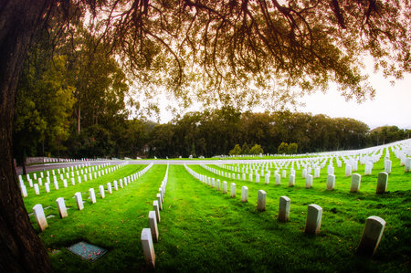 Tombstone in a cemetery, San Francisco National Cemetery, Presidio, San Francisco, California, USA
