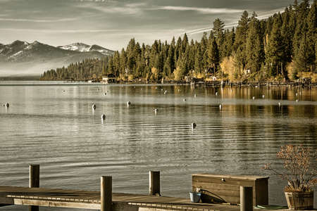 Trees in a forest at the lakeside, Carnelian Bay, Lake Tahoe, California, USAの写真素材