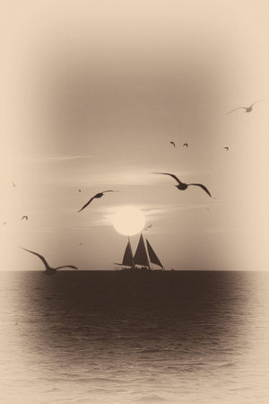 Sailboat sailing in the Atlantic ocean, Key West, Florida, USA