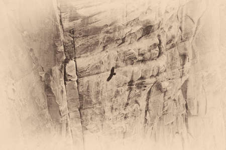 Aerial view of a bird flying over a canyon, Grand Canyon, Grand Canyon National Park, Arizona, USAの写真素材