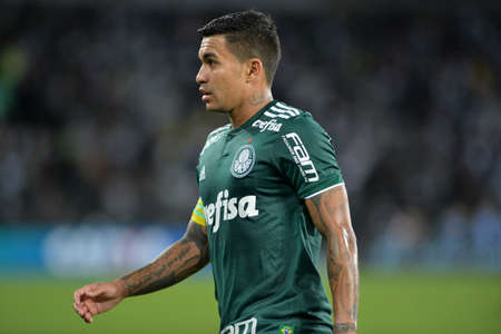 Rio, Brazil - april 16, 2018: Dudu player in match between Botafogo and Palmeiras by the Brazilian Championship in Nilton Santos Stadiumのeditorial素材