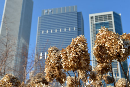 Chicago, Usa - march 14, 2018: View of the horizon with skyscrapers in wind city on a spring dayのeditorial素材