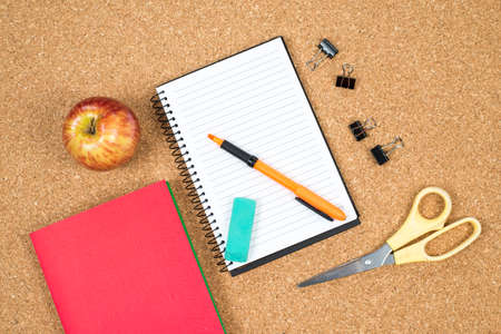 School elements on cork background with space for text symbolizing back to school.の写真素材