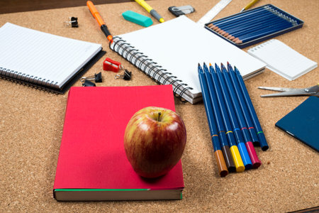 School elements on cork background symbolizing back to school.の写真素材