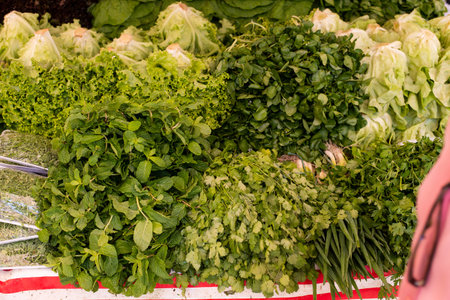 vegetables exhibited in fair-free in the city of Rio de Janeiro on a Sunday morning,