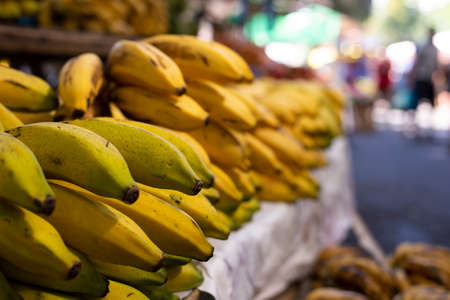 fruit market in open-air market with banana in a stacksの写真素材