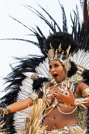 Rio, Brazil - march 03, 2019: Unidos da Tijuca during the Carnival Samba School Carnival RJ 2019, at...