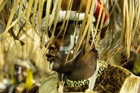 Rio, Brazil - march 04, 2019: Mangueira during the Carnival Samba School Carnival RJ 2019, at...