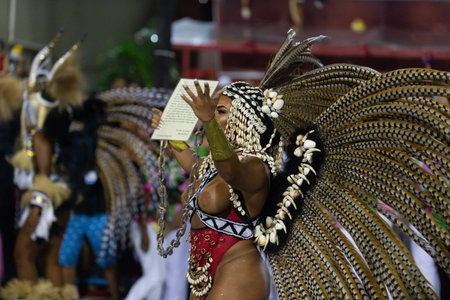 Rio, Brazil - march 04, 2019: Mangueira during the Carnival Samba School Carnival RJ 2019, at...