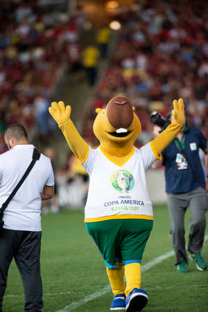 Rio, Brazil - april 06, 2019: Mascot of the Copa America (Capivara) before Flamengo vs. Fluminense for the Carioca championship in Maracanaのeditorial素材