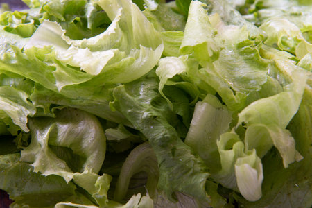 leaf of chopped lettuce forming a background of green salad