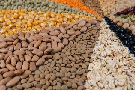 Big collection of different cereals and edible seeds. Grain angular pattern with top view