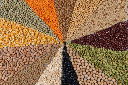 Big collection of different cereals and edible seeds. Grain angular pattern with top viewの写真素材