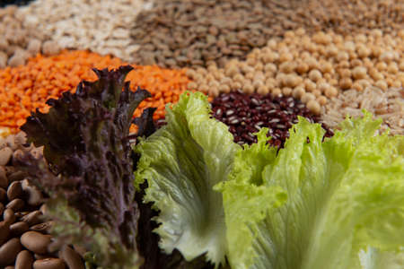 Big collection of different cereals and edible seeds. Fiber source examplesの写真素材