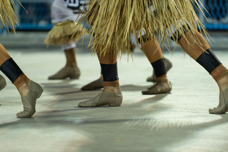 Rio, Brazil - march 04, 2019: Mangueira during the Carnival Samba School Carnival RJ 2019, at...