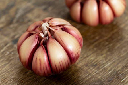 head of garlic on rustic wood lit by the sunの写真素材