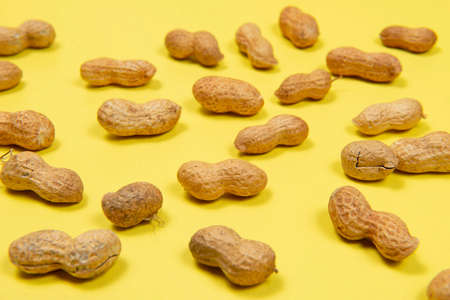 heap of peanuts in shell repetition on yellow background. Typical pinch of June party (Festa Junina)の写真素材