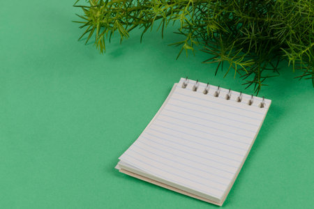 paper notepad next to cypress branches on green background.