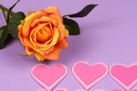 Yellow flower on lilac background with hearts and space for textの写真素材