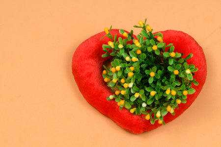 heart-shaped cushion with flowering plant insideの写真素材