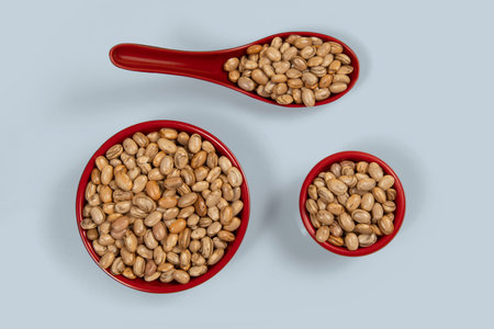 Dry pinto bean seed in red plastic bowl in top view in top view