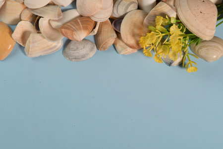 Seashell decoration and a yellow flower, perfect for a summer themed background