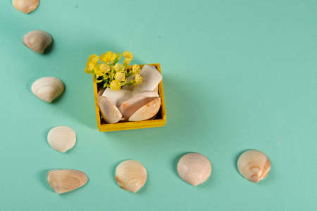 Wooden yellow box with seashells and flowers symbolizing summer in a green backgroundの写真素材