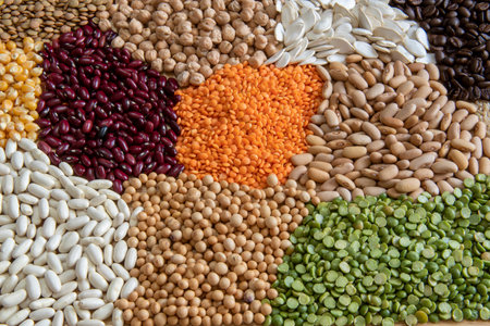 Servings of different varieties of cereals and dry edible seeds. Examples of fiber sources in top viewの写真素材