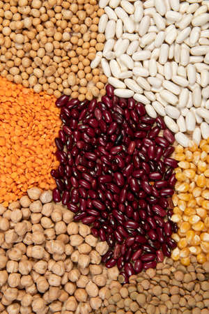 Servings of different varieties of cereals and dry edible seeds. Examples of fiber sources in top viewの写真素材