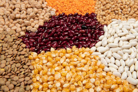 Servings of different varieties of cereals and dry edible seeds. Examples of fiber sources, selective focusの写真素材