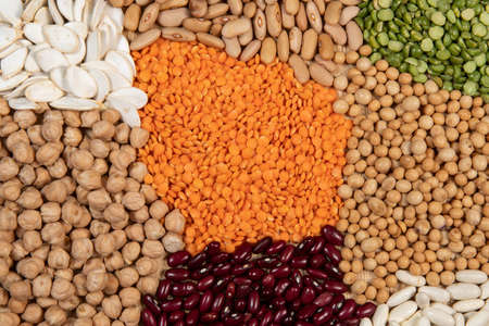 Servings of different varieties of cereals and dry edible seeds. Examples of fiber sources in top viewの写真素材