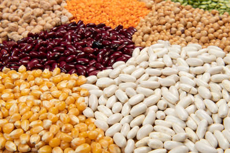 Servings of different varieties of cereals and dry edible seeds. Examples of fiber sources, selective focusの写真素材
