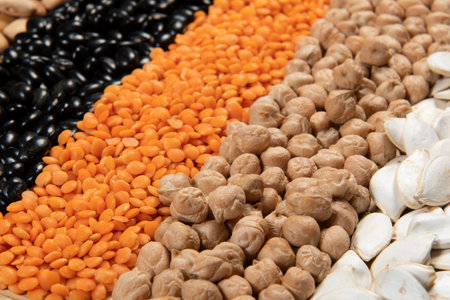Collection of different cereal varieties and edible dry seeds. Examples of fiber sourcesの写真素材