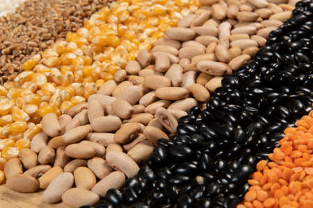 Collection of different cereal varieties and edible dry seeds. Examples of fiber sourcesの写真素材