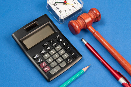 how much does justice cost to the citizen