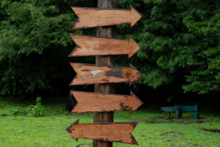 signposts with arrows with space to write in the middle of natureの写真素材