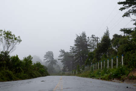 Rural area with trees in foggy day. in the carの写真素材