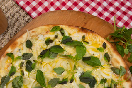 Brazilian pizza with cheese, mozzarella and basil, top viewの写真素材