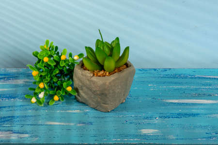 artificial plant vase with flowers on the side on blue backgroundの写真素材